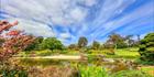 Japanese Garden - Cowra 